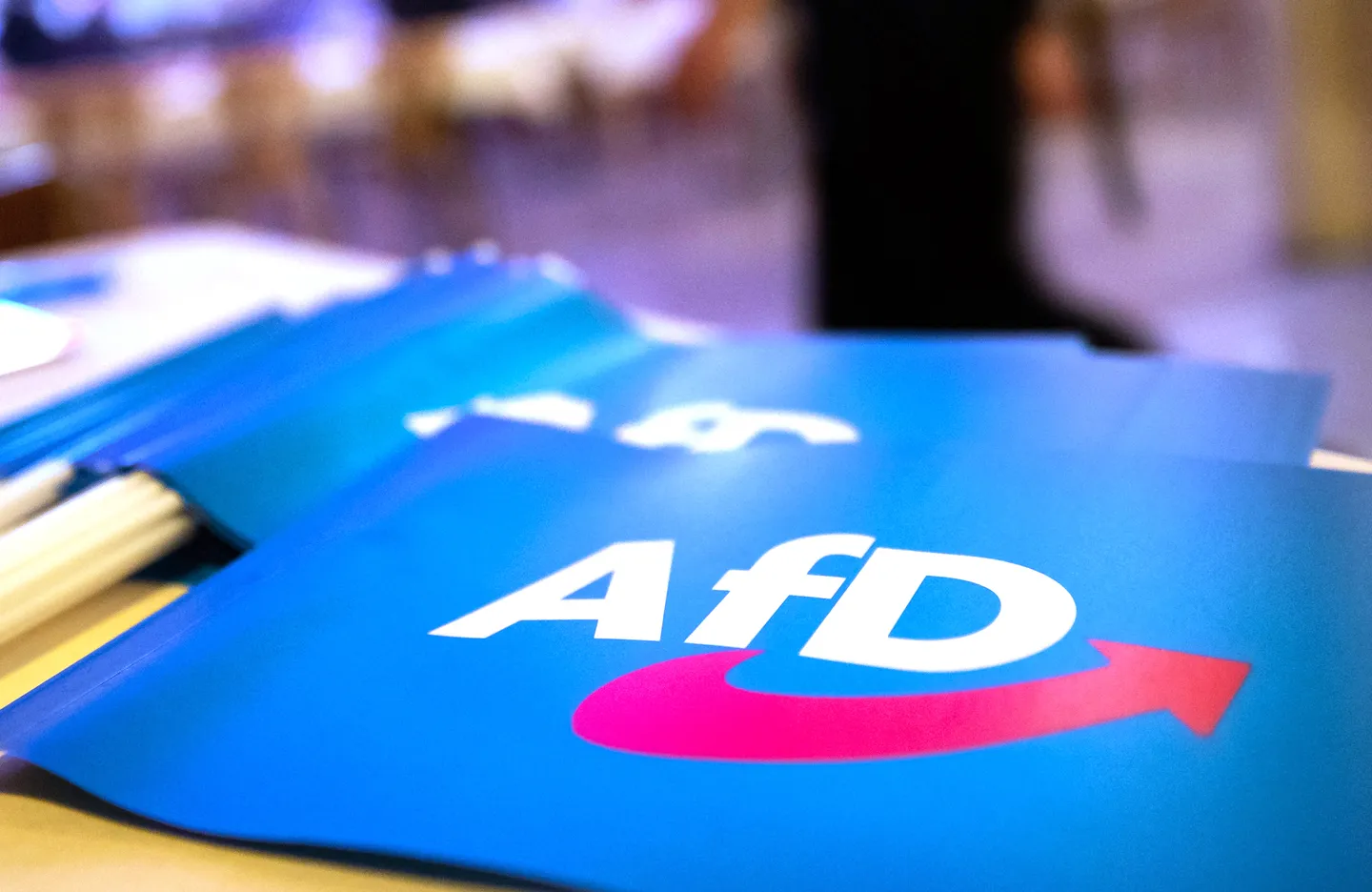 Rechtsextrem-Stempel: Wie mit der AfD umgehen?